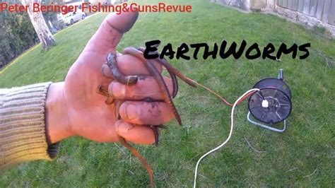 electric worm rod|catching worms with electricity.